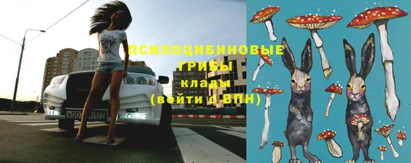 молекула духа Алексин