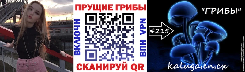 Галлюциногенные грибы GOLDEN TEACHER  наркотики  Пугачёв 